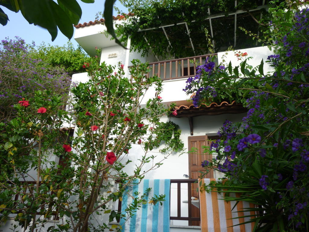 Hotel Golden Sun Kokkari Pokoj fotografie